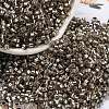 Glass Seed Beads X1-SEED-S042-04A-09-1