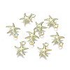 Alloy Charms PALLOY-L222-038GGP-1