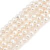 Natural Cultured Freshwater Pearl Beads Strands PEAR-P064-19D-13A-2