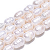 Natural Cultured Freshwater Pearl Beads Strands PEAR-N012-07S-3