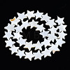 Natural Freshwater Shell Beads Strands SHEL-S278-01D-01-2