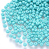12/0 Baking Paint Glass Round Seed Beads SEED-S036-01A-13-1
