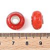 Lampwork & Brass Core European Beads LAMP-P019-01P-24-3