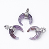 Natural Amethyst Pendants G-E425-05P-2
