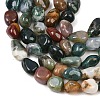 Natural Indian Agate Beads Strands G-K395-B12-02-4