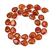Natural Carnelian Beads Strands G-K393-E02-10x12-3