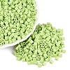 FGB Baking Paint Glass Seed Beads SEED-Q040-09A-11-1