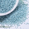 MIYUKI Delica Beads SEED-X0054-DB0628-1