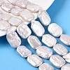 Natural Baroque Pearl Keshi Pearl Beads Strands PEAR-S020-D14-1