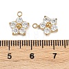 304 Stainless Steel Micro Pave Cubic Zirconia Charms STAS-B088-01G-02-3