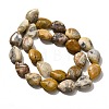 Natural Crazy Agate Beads Strands G-P561-B11-01-3