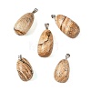 Natural Picture Jasper Tumbled Stone Pendants GG-K002-06F-1