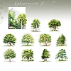 20Pcs Forest Theme PET Stickers PW-WG2AF00-03-1