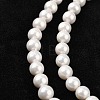 Shell Bead Strands BSHE-R146-6mm-02-2