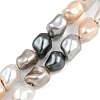 Electroplated Shell Pearl Beads Strands BSHE-H113-05H-1