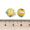 Handmade Lampwork Enamel Beads LAMP-R004-05J-4