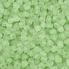 FGB Frosted Transparent Glass Seed Beads SEED-N013-03A-08-3