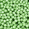 Baking Paint Pearlized Glass Seed Beads SEED-T007-21A-13-2