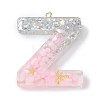 Resin Pendants RESI-B029-01P-Z-1