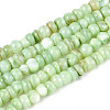 Natural Freshwater Shell Dyed Beads Strands SHEL-T020-29A-03-1