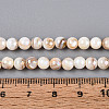AB Color Natural Freshwater Shell Beads Strands X-BSHE-T014-40B-4