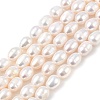 Natural Cultured Freshwater Pearl Beads Strands PEAR-I007-01D-06A-01-2