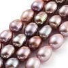 Natural Cultured Freshwater Pearl Beads Strands PEAR-P062-17C-2