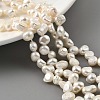 Natural Cultured Freshwater Pearl Beads Strands PEAR-A006-19C-2