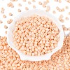 Opaque Baking Paint Glass Seed Beads X-SEED-T008-02C-2