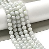 Natural Myanmar Jadeite Beads Strands G-L595-C01-02-2