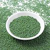 MIYUKI Round Rocailles Beads SEED-X0054-RR0480-2
