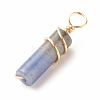 Natural Sodalite Pendants PALLOY-JF01453-03-4