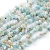 Natural Gemstone Bead Strand X-F031-1