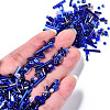 Glass Seed Beads SEED-S059-005-4