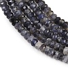 Natural Iolite Beads Strands G-P612-A02-01-4