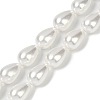 Electroplate Shell Pearl Beads Strands BSHE-O019-05-1