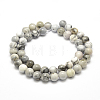 Natural Agate Beads Strands G-F475-07-8mm-2