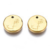 316 Surgical Stainless Steel Charms STAS-S116-418J-G-2