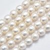 Natural Cultured Freshwater Pearl Beads Strands PEAR-K003-23D-01-1