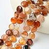Flat Round Gemstone Natural Red Agate Stone Beads Strands X-G-S110-03-3