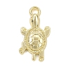 Alloy Pendants AL-CBAFCDA-10G-1