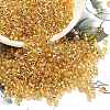 TOHO 8/0 Round Beads X-SEED-TR08-0022A-1
