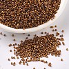 MIYUKI Delica Beads SEED-X0054-DB0505-1