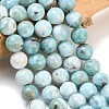 Natural Larimar Beads Strands GG-CBA007A-B01-10mm-1