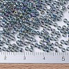MIYUKI Round Rocailles Beads X-SEED-G007-RR0249-4
