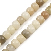 Natural Bodhi Root Beads Strand WOOD-B010-A01-10x8mm-2