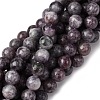 Natural Lepidolite Beads Strands X-G-G284-A02-8mm-2