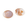 Natural Freshwater Shell Beads BSHE-T014-43C-3