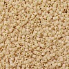 MIYUKI Delica Beads X-SEED-J020-DB1131-3