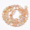 Freshwater Shell Beads Strands SHEL-N026-08C-2